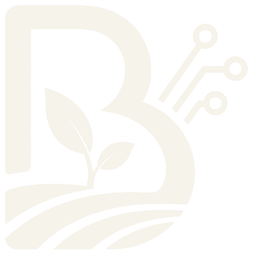 Balarama mark
